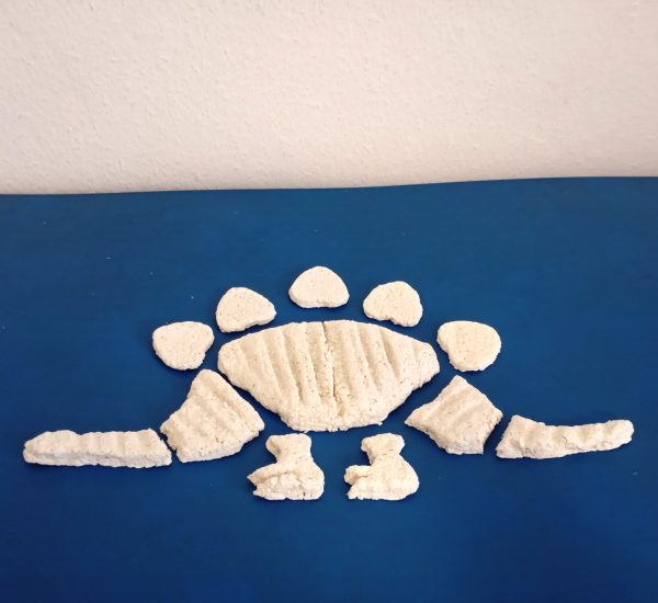 Skelett Stegosaurus Rohlinge aus Pappmaché Pulpe
