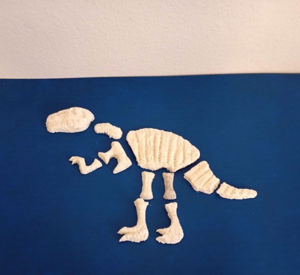 Skelett T-Rex Rohlinge aus Pappmaché Pulpe