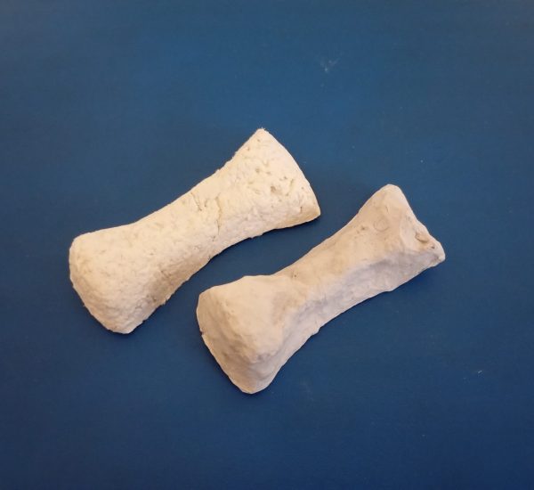 Präparierte Dino-Knochen Pappmaché Pulpe