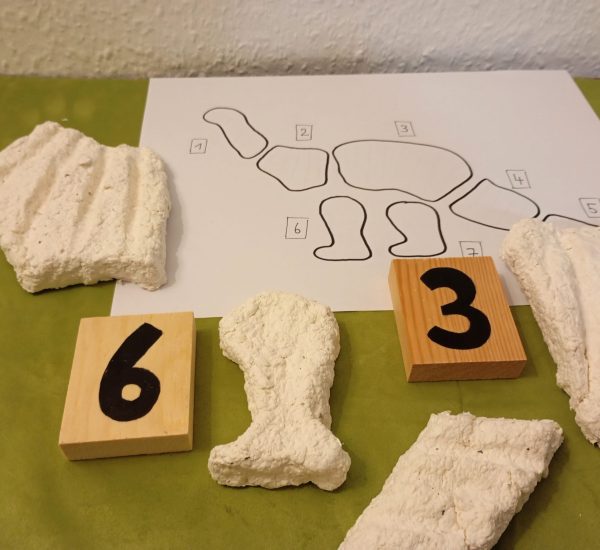 Zuordnung der Skelett-Rohlinge