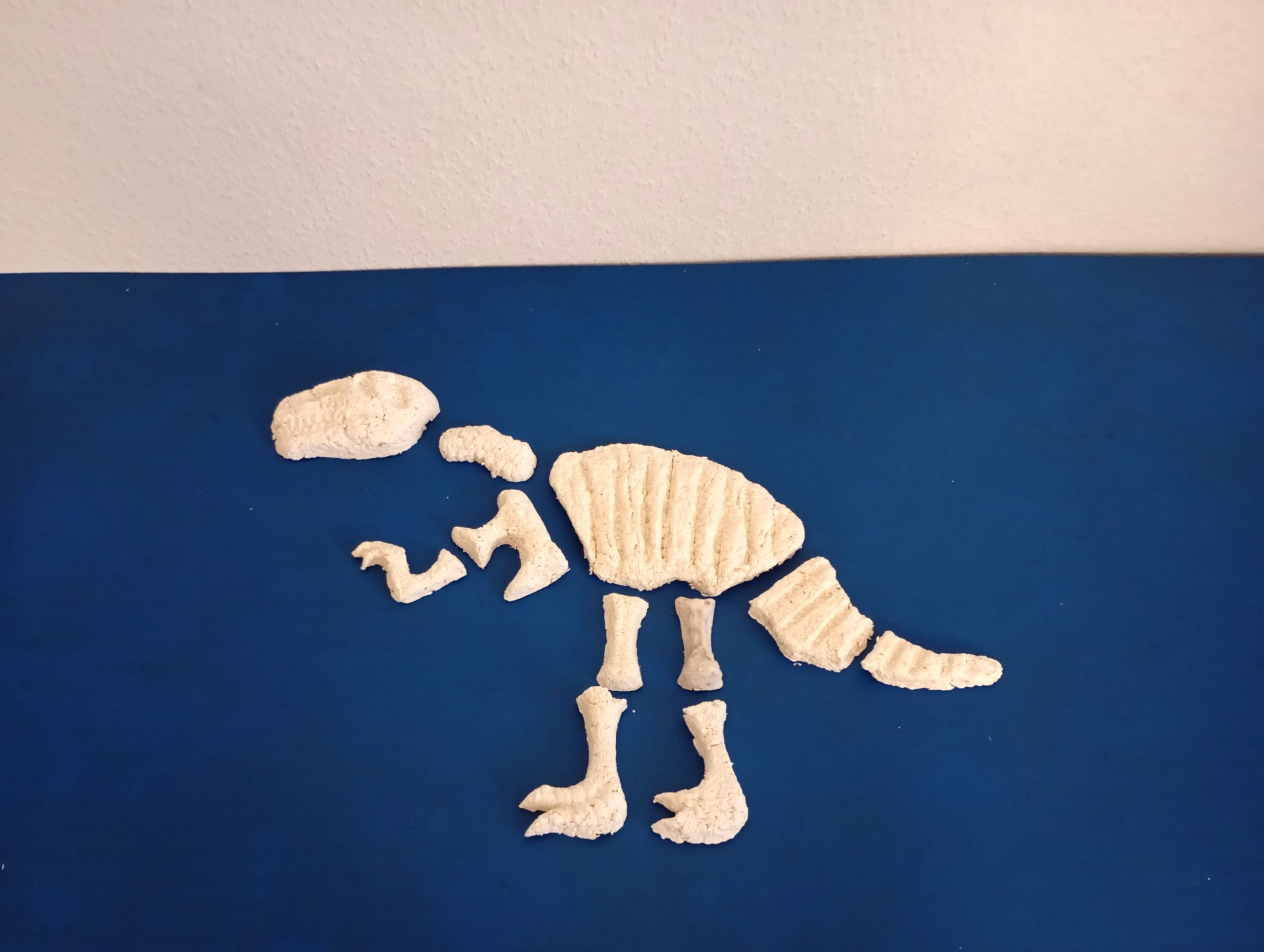 Skelett T-Rex Rohlinge aus Pappmaché Pulpe