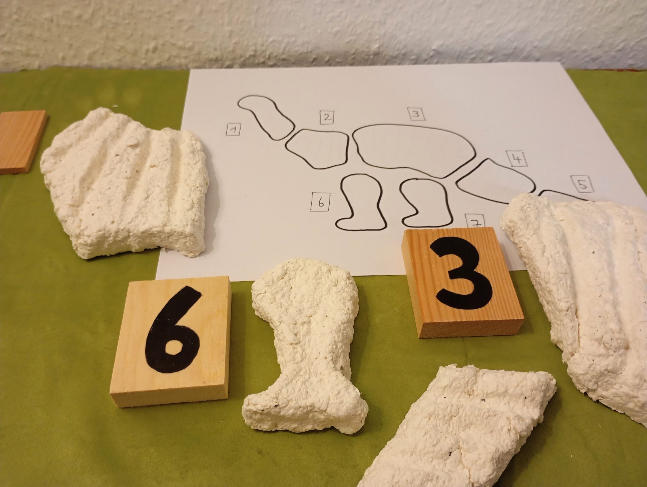 Zuordnung der Skelett-Rohlinge