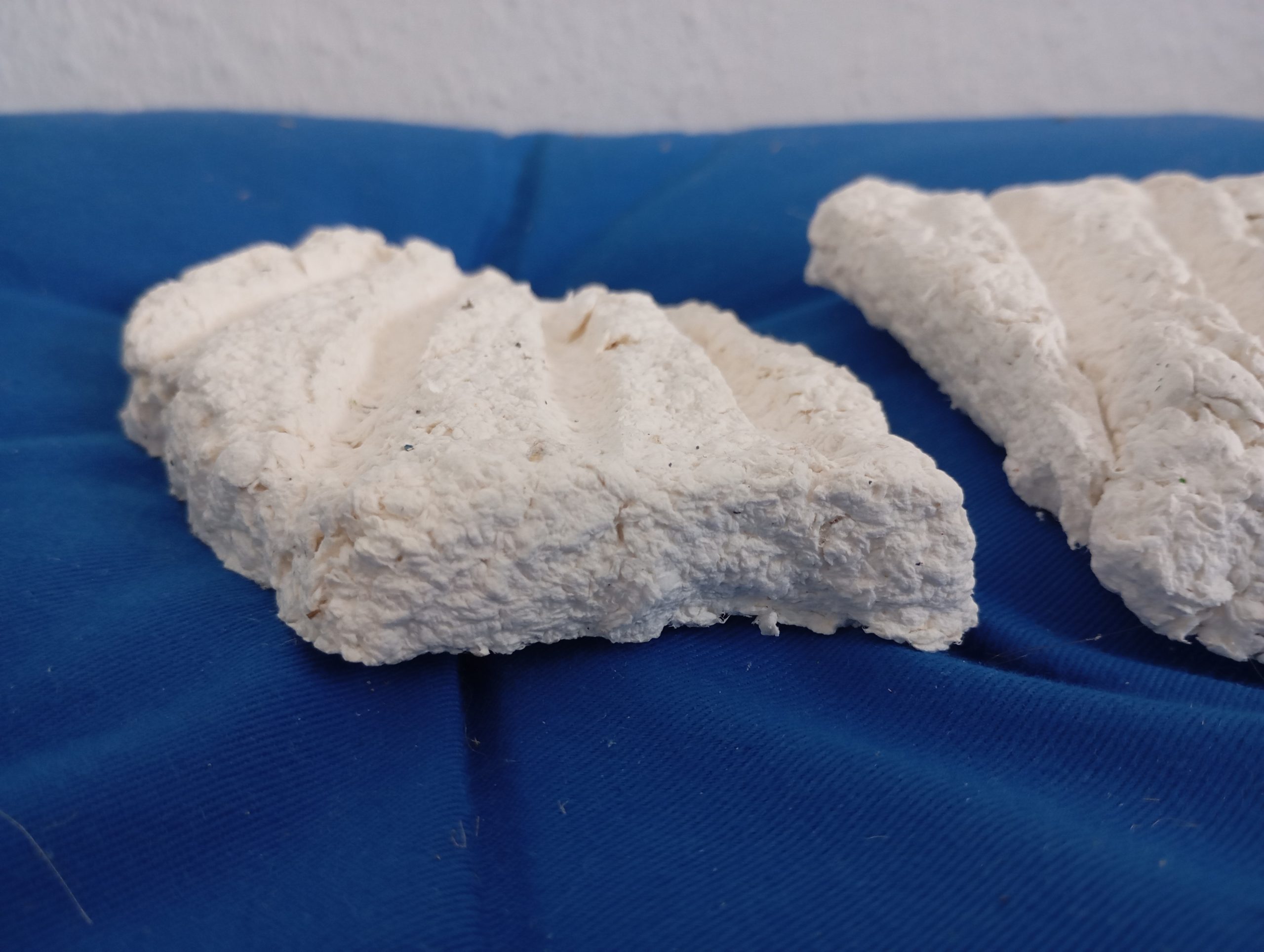 Dino-Skelett: Rohlinge aus Pulpe